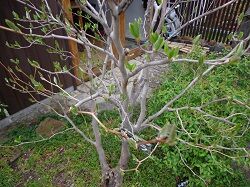 DSC00016