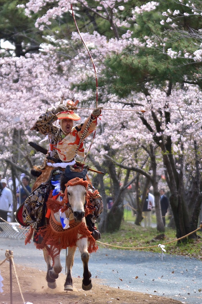 桜の下で流鏑馬 三柱神社 柳川 むら智の徒然なるままに