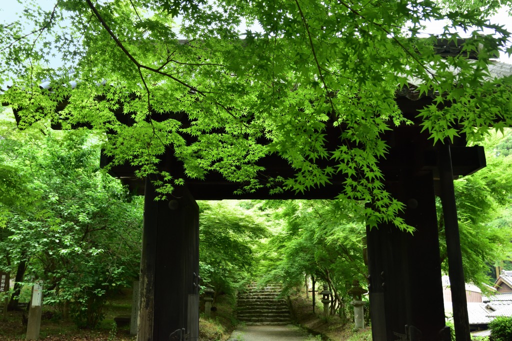 秋月 黒門 むら智の徒然なるままに 秋月 黒門 むら智の徒然なるままに