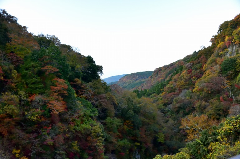 九酔渓 桂茶屋の紅葉 大分県九重町 むら智の徒然なるままに 九酔渓 桂茶屋の紅葉 大分県九重町 むら智の徒然なるままに
