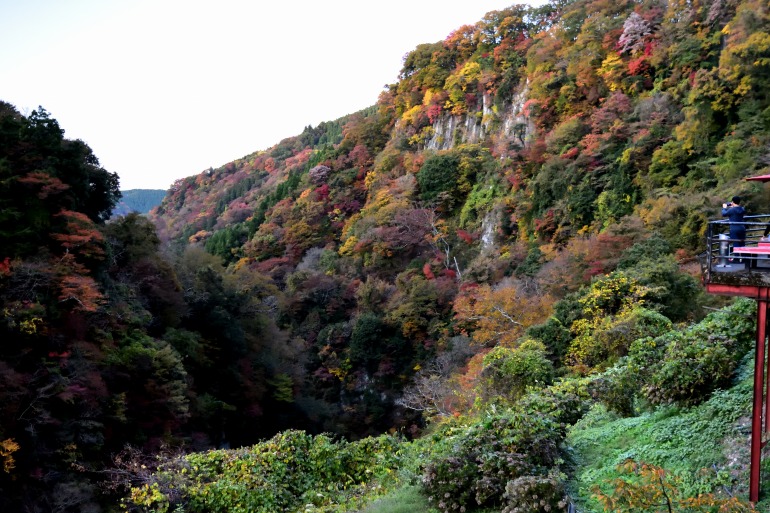 九酔渓 桂茶屋の紅葉 大分県九重町 むら智の徒然なるままに 九酔渓 桂茶屋の紅葉 大分県九重町 むら智の徒然なるままに