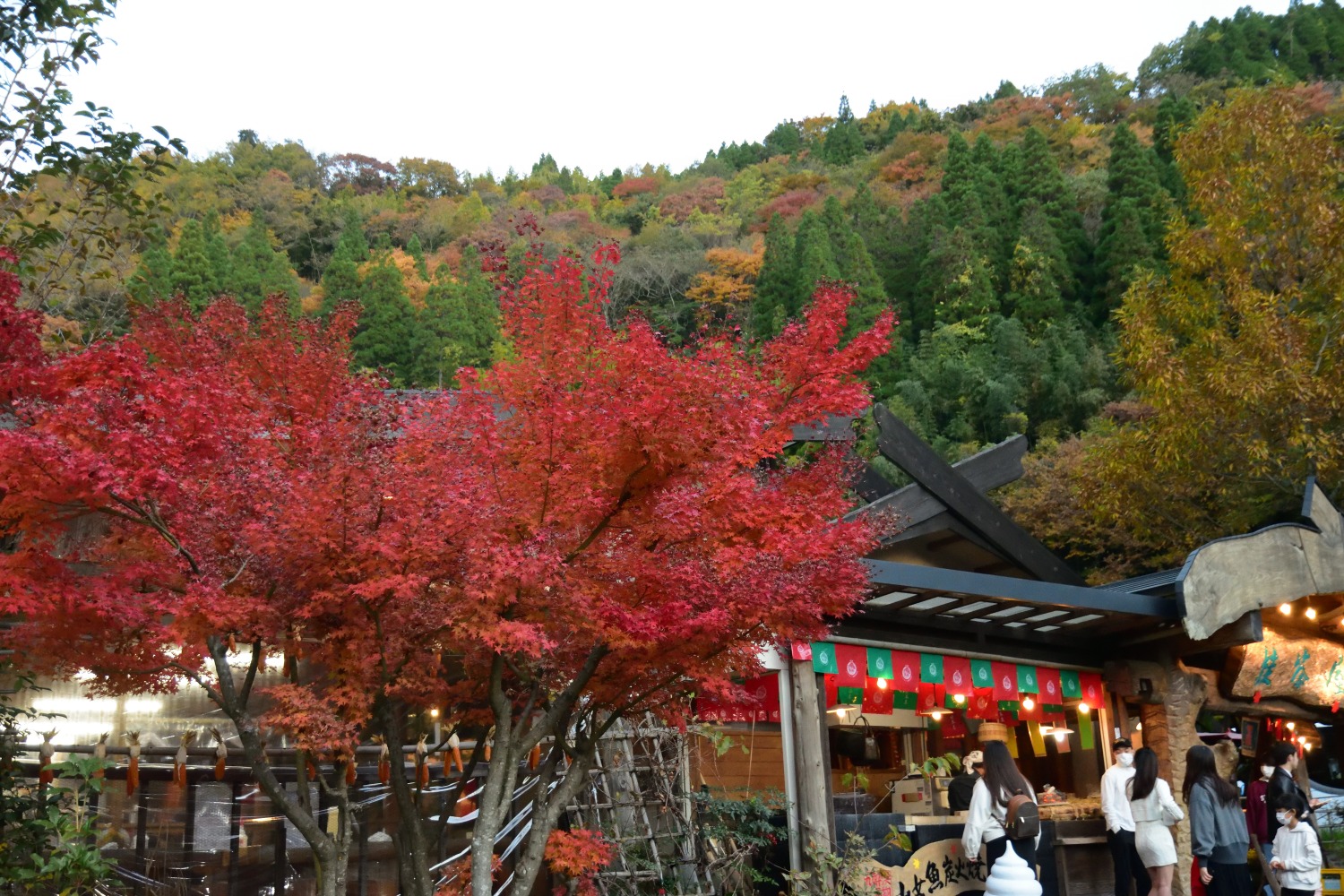 九酔渓 桂茶屋の紅葉 大分県九重町 むら智の徒然なるままに 九酔渓 桂茶屋の紅葉 大分県九重町 むら智の徒然なるままに