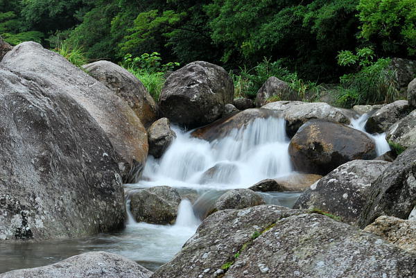 屋久島旅行記 4 横河渓谷 むら智の徒然なるままに