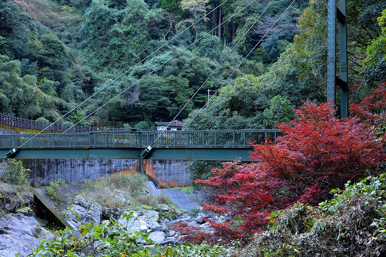 雄淵雌淵公園の紅葉（佐賀 富士町） むら智の徒然なるままに