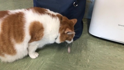 IMG_1427 - frame at 0m2s