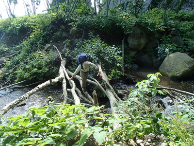 P8110273