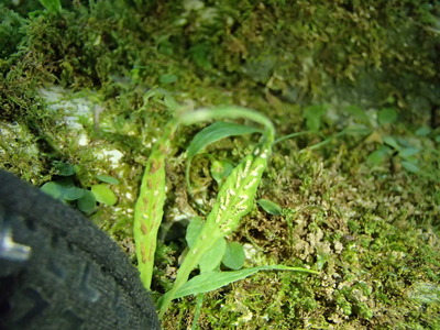 P9041004