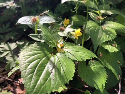IMG_8810