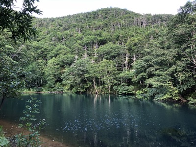200811_065212