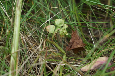 DSC03080