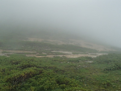 P7281268