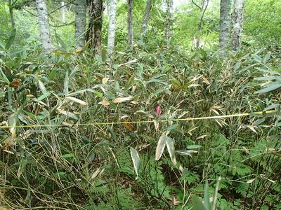 P7271081