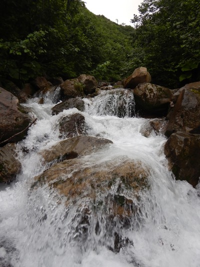 DSCN2387