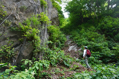 DSC03548