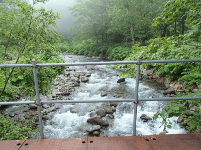 P7271019