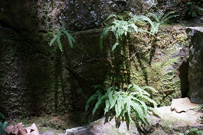 DSC03384