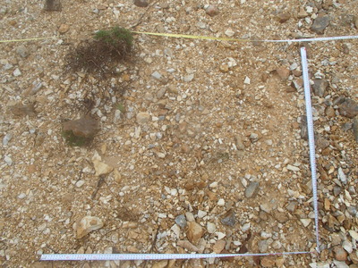 P7281221　Q3