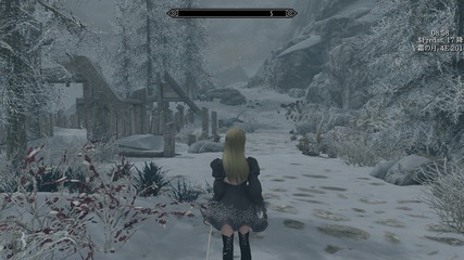 skyrim 06