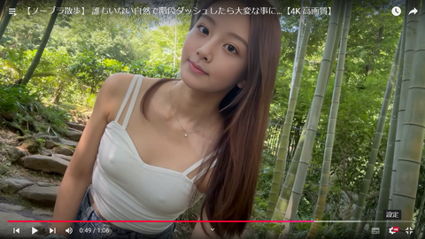 スクリーンショット (327)