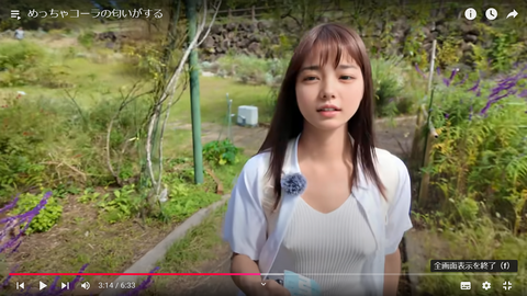 スクリーンショット (278)