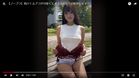 スクリーンショット (306)