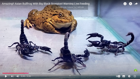 スクリーンショット (348)