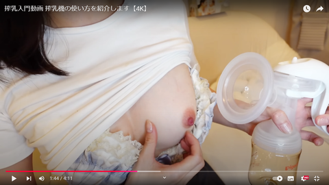 スクリーンショット (265)