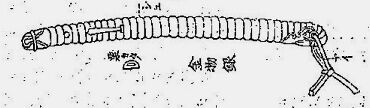中世の腰刀拵 鞘巻 : 日本中世庶民の世界