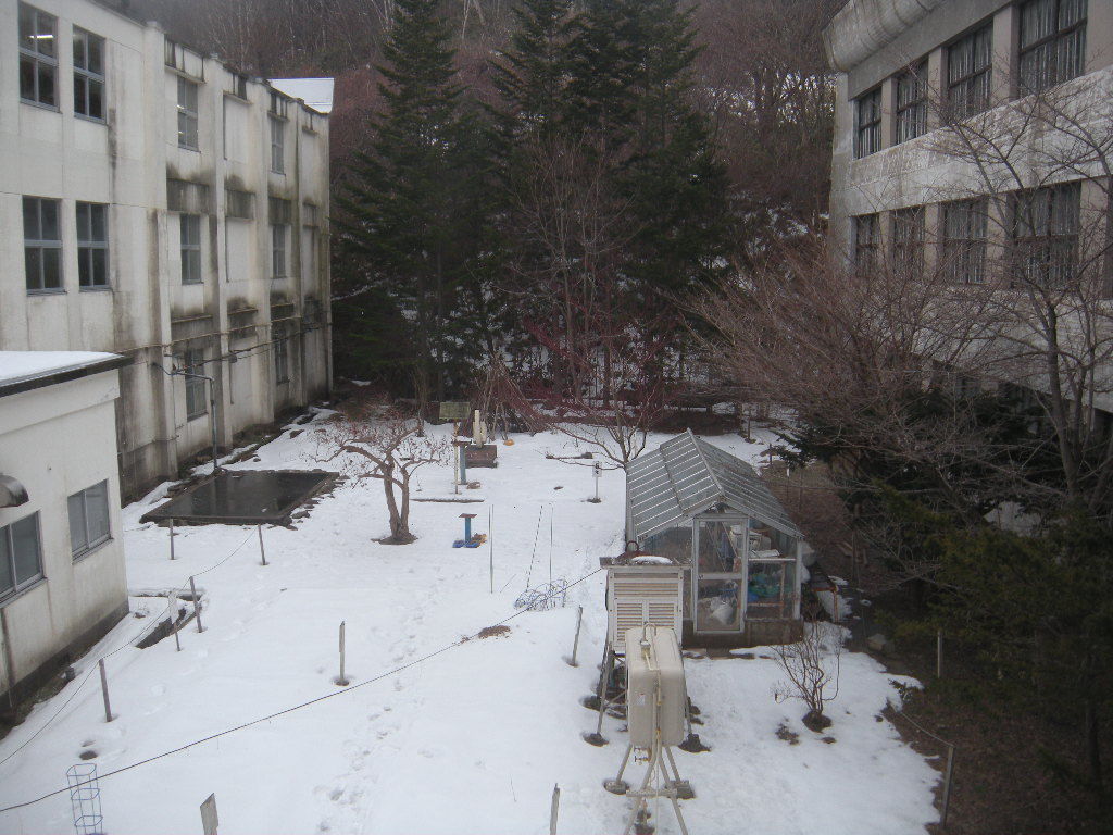 佐野市立常盤小学校