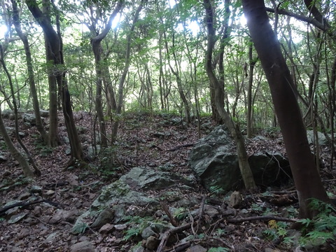 池山池登山2023_9月24日② (5)