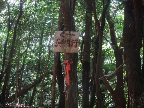池山池登山2023_9月24日② (12)