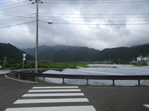 DSC00989