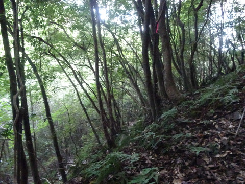 池山池登山2023_9月24日② (4)