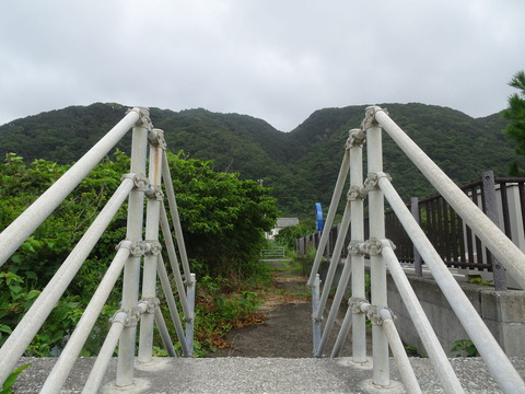 DSC00981