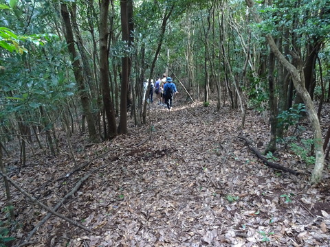 池山池登山2023_9月24日② (9)