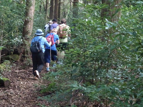 池山池登山2023_9月24日② (8)