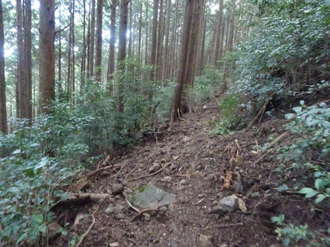 池山池登山2023_9月24日② (6)