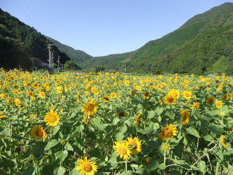 DSCF9439_s