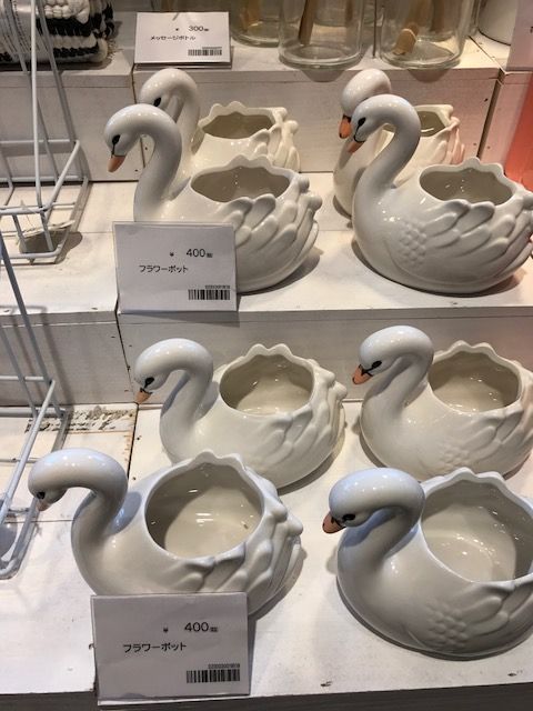 17年05月 無類の鳥好きのブログ