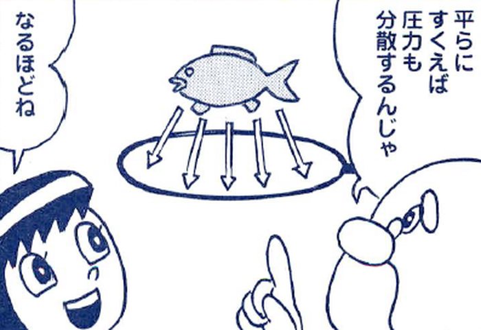 SnapCrab_NoName_2022-8-25_8-54-20_No-00