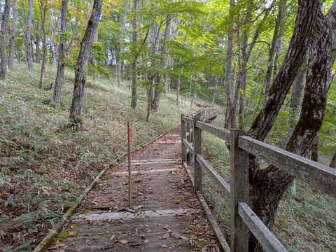 LINE_ALBUM_20251012.13_251207_14