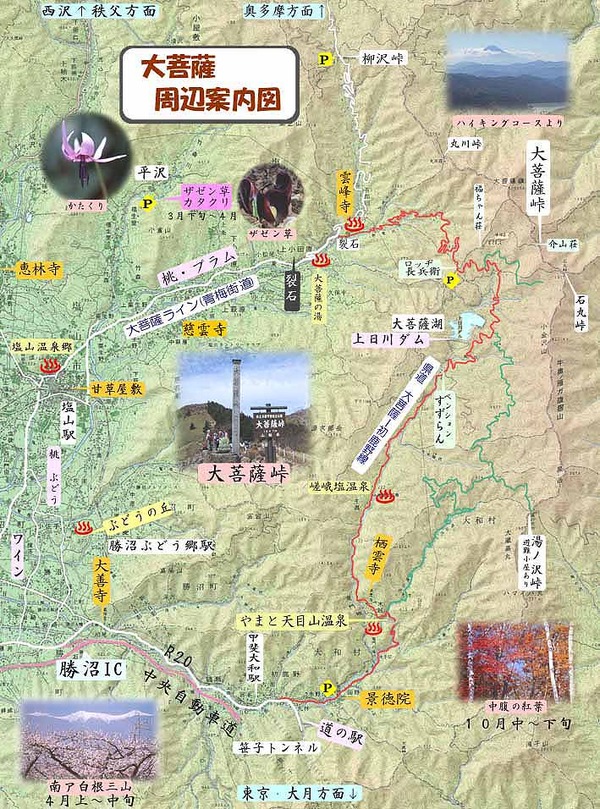 ヒュッテ資料_観光案内図