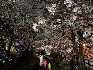 IMG_0665