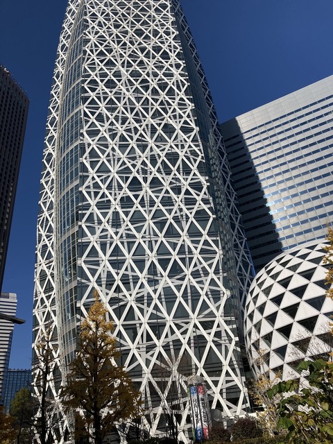 写真 2021-12-15 11 40 53