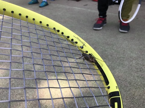 写真 2019-05-19 9 00 34