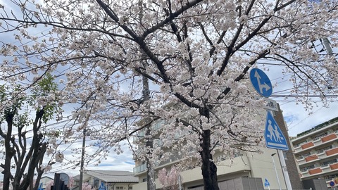 7DE9DEB7-FF3D-4E6F-8963-5D91B55B0BD3