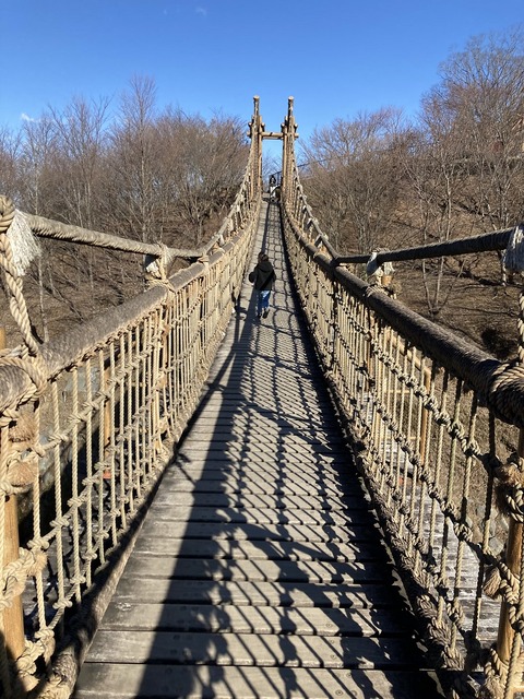 写真 2022-01-21 13 29 58