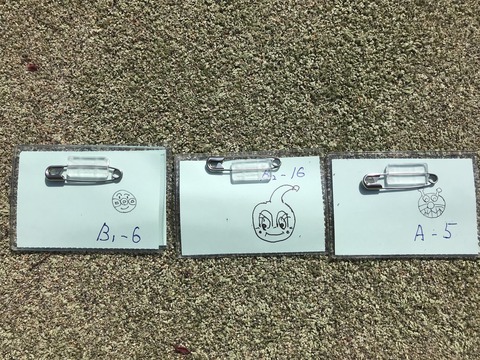 写真 2019-05-19 15 11 57