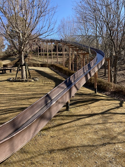 写真 2022-01-21 13 00 29