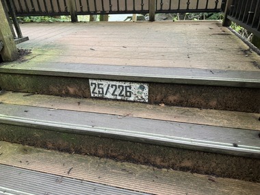 25
